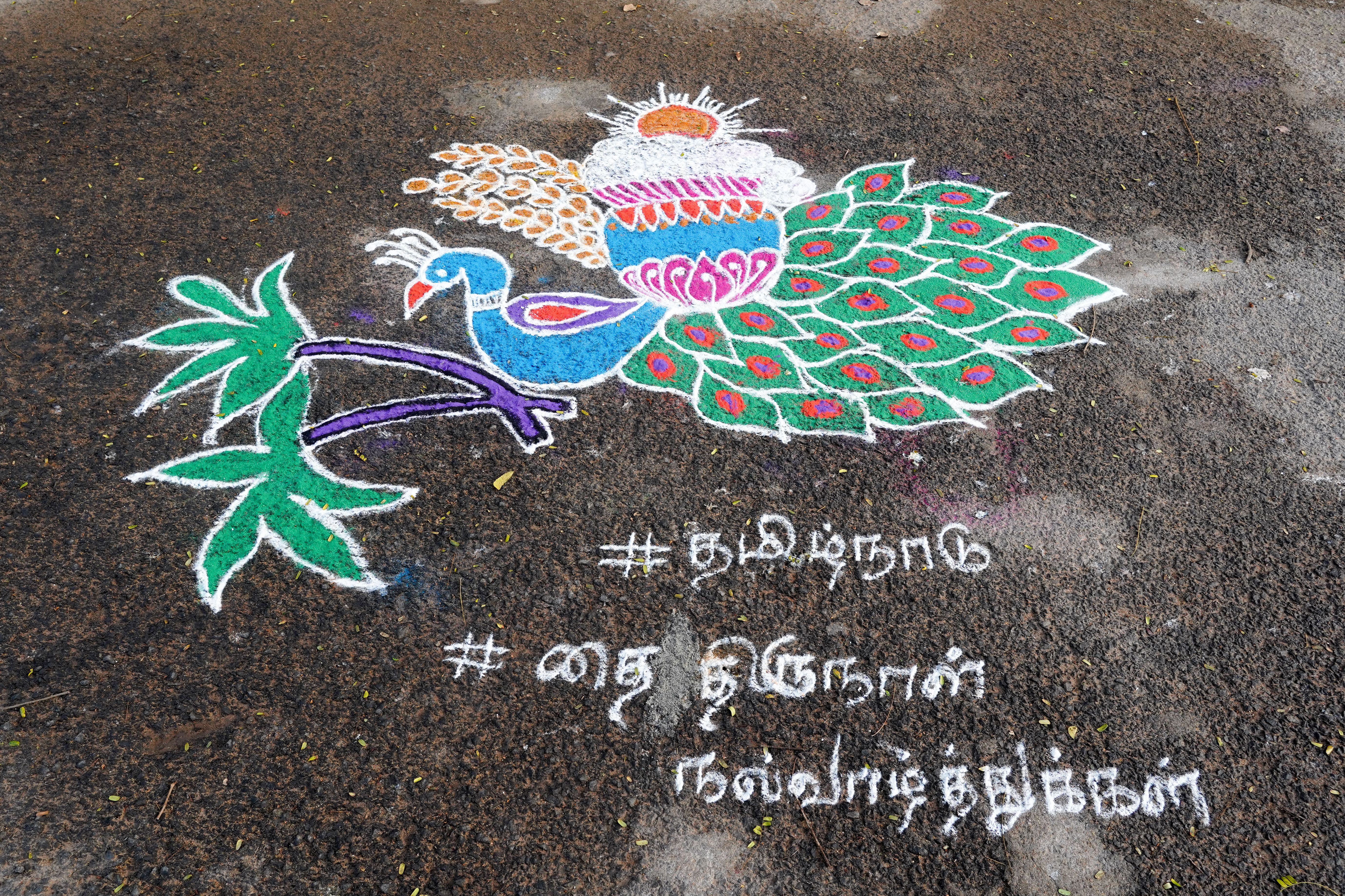 Thai Pongal Harvest Hamper (Tamil Nadu)